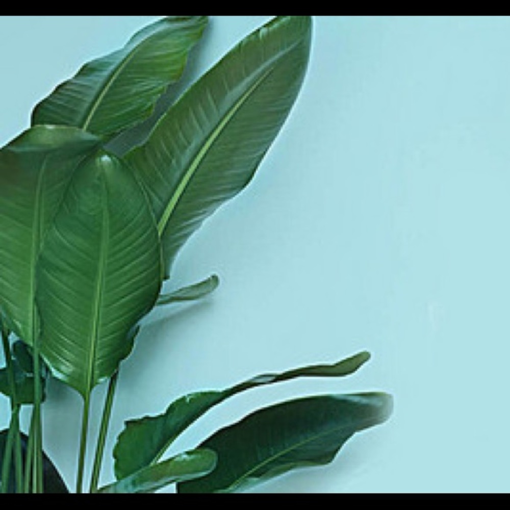 Meet your Posher, Stella